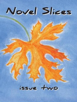 cover image of Novel Slices Issue 2